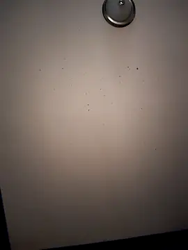 butterflykhash89 online show from December 2, 2025, 8:54 pm