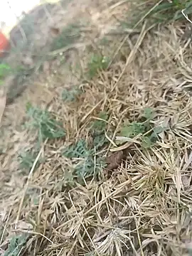 mkallu1995 online show from March 5, 2026, 6:10 am