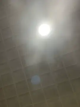 sabrina v  online show from January 19, 2026, 5:22 am