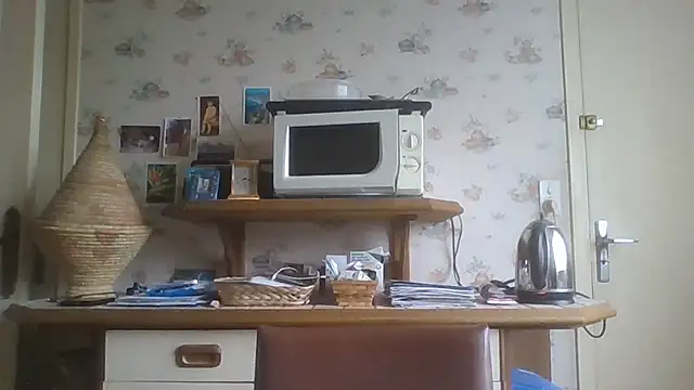 gegevincent online show from February 17, 2026, 2:14 pm