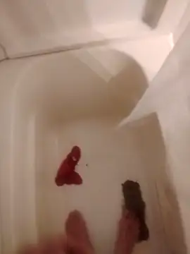 helldonk online show from February 5, 2026, 2:40 am