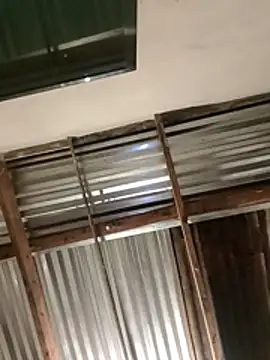 Pediboiza online show from February 13, 2026, 4:40 pm