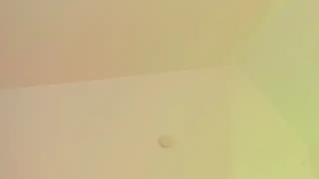 Taylormaxwell online show from November 28, 2025, 8:42 pm