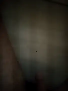 Patressssss online show from April 18, 2026, 9:15 pm