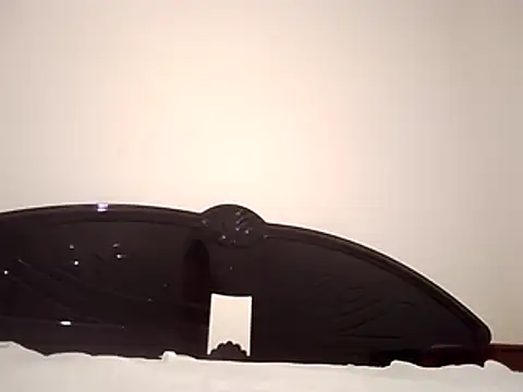 straightozgoesdwn online show from February 8, 2026, 8:17 pm