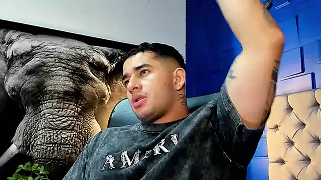 king falconer online show from November 25, 2025, 1:28 am