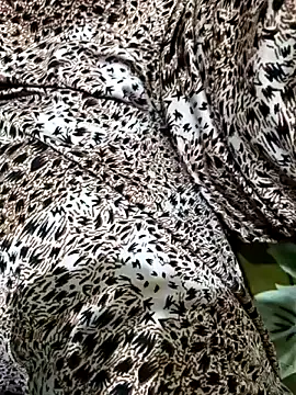 Dassing strip couple online show from April 5, 2026, 10:33 am