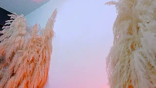 Snapshot of JulietaDavis chatting on February 19, 2026, 8:11 am JulietaDavis online show from February 19, 2026, 8:11 am