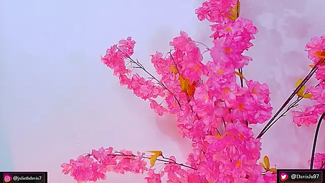 JulietaDavis online show from May 27, 2026, 9:38 am