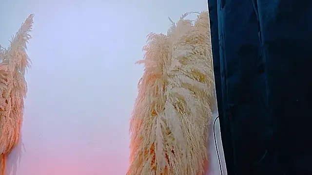 Snapshot of JulietaDavis chatting on February 22, 2026, 9:33 am JulietaDavis online show from February 22, 2026, 9:33 am