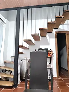 Hiroshi Shen online show from November 17, 2025, 11:25 am