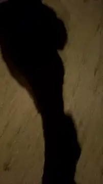 jvdzj-0  online show from October 12, 2025, 12:56 am