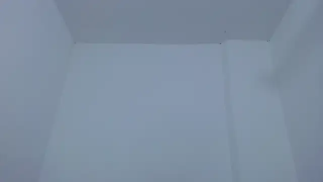 carolina zabala 19 online show from December 17, 2025, 7:19 pm