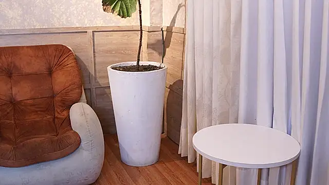 Ethan occonor online show from February 11, 2026, 11:43 am