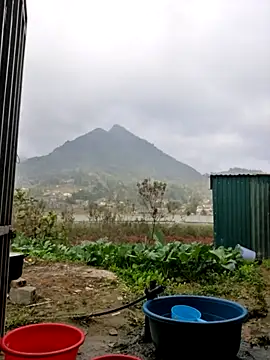 yoowwmr online show from December 20, 2025, 1:30 am