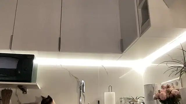 Snapshot of Gidelii chatting on October 13, 2025, 6:53 pm Gidelii online show from October 13, 2025, 6:53 pm