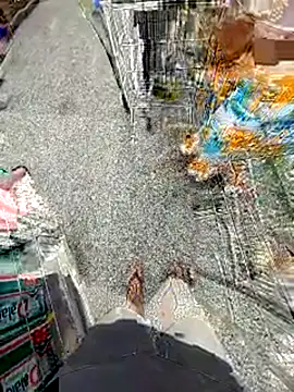 Snapshot of jeff_pepoer chatting on February 14, 2026, 11:54 am jeff pepoer online show from February 14, 2026, 11:54 am