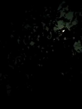 Girls pussy rider online show from February 28, 2026, 7:13 pm