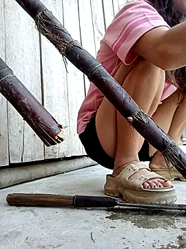 Snapshot of daisy_will chatting on February 16, 2026, 8:02 am daisy will online show from February 16, 2026, 8:02 am