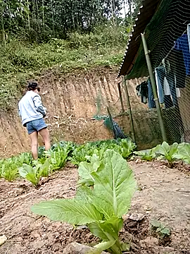 Snapshot of daisy_will chatting on January 19, 2026, 3:21 am daisy will online show from January 19, 2026, 3:21 am