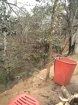 Chaotam1 online show from November 21, 2025, 2:54 am