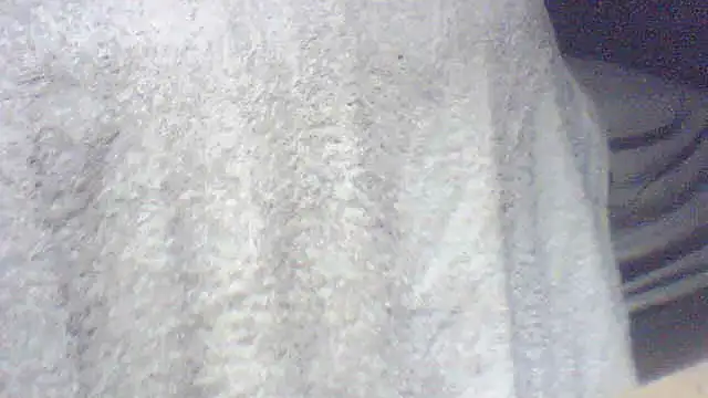 Snapshot of pietje1991 chatting on June 4, 2026, 6:29 am pietje1991 online show from June 4, 2026, 6:29 am
