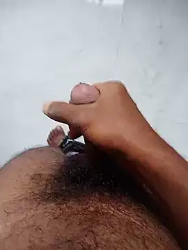 Marathi bull online show from November 1, 2025, 8:19 am