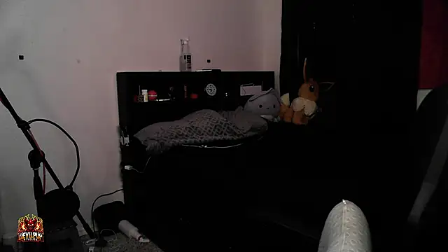Snapshot of DevilPup75_ chatting on April 20, 2026, 2:29 pm DevilPup75 online show from April 20, 2026, 2:29 pm