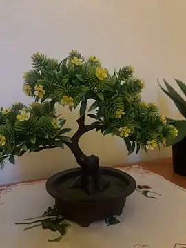 Michel huge online show from December 18, 2025, 6:07 am