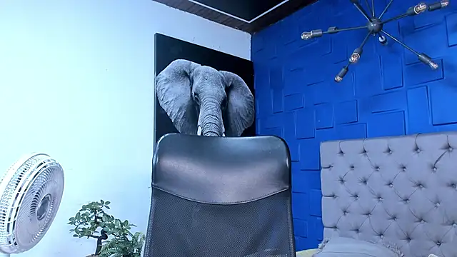 andres-clark92 online show from October 26, 2025, 6:19 pm