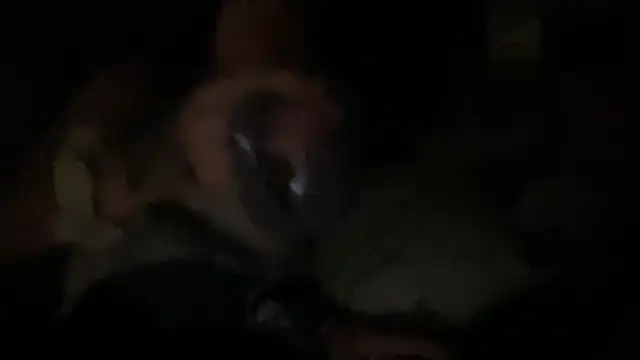 dddasani online show from September 24, 2025, 6:09 am