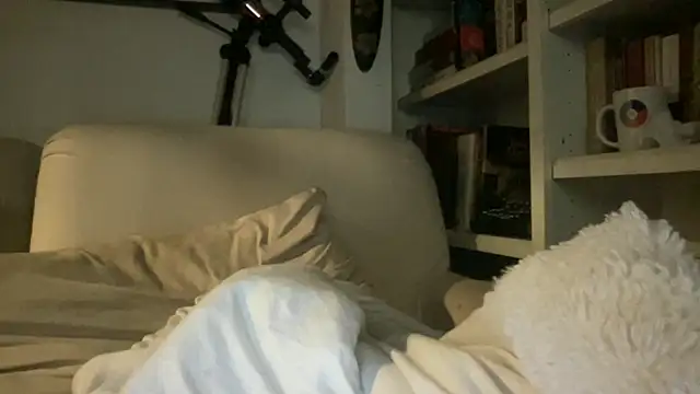 dddasani online show from October 2, 2025, 2:42 pm