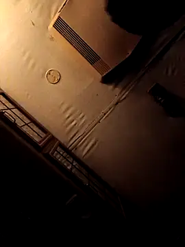 ShawnandDani7074 online show from February 4, 2026, 5:46 am