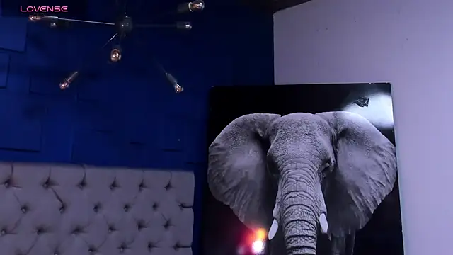 rocoo santos online show from October 12, 2025, 1:51 am