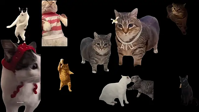 ch0wn m online show from November 19, 2025, 12:38 pm