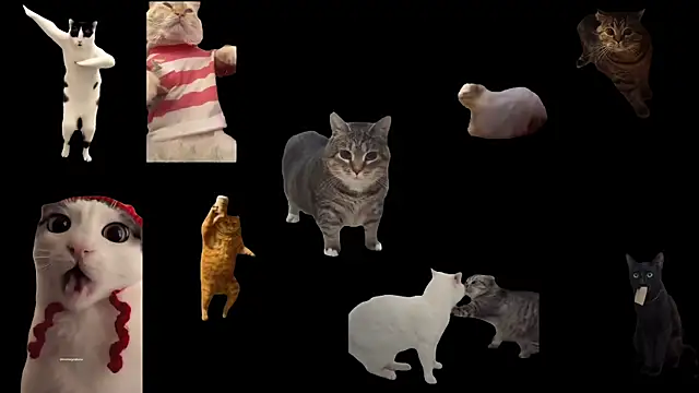 ch0wn m online show from September 20, 2025, 11:59 am