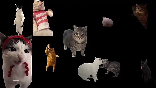 ch0wn m online show from September 19, 2025, 10:41 am