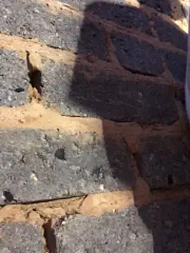 cuminsidebby online show from February 14, 2026, 6:19 pm