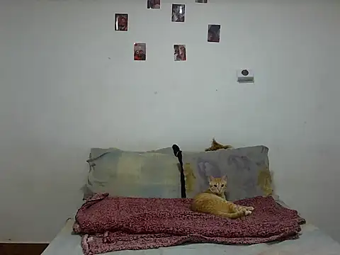 MeganAndMaxxh online show from January 9, 2026, 1:23 am