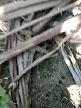 Real Sucker online show from November 28, 2025, 4:56 am