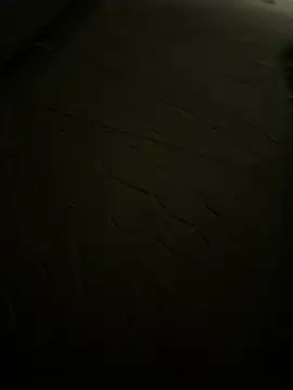 Foxfoxfox4 online show from March 27, 2026, 4:08 pm