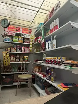 Sallem Pink online show from February 14, 2026, 11:21 am