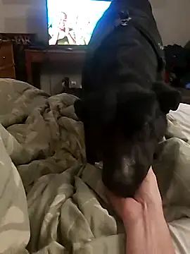 dandonn online show from February 27, 2025, 1:08 am