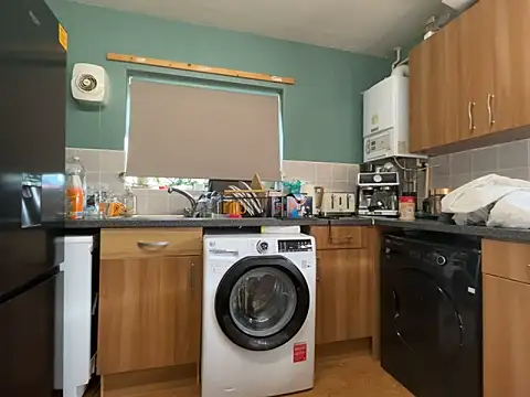 Dilfcam101 online show from February 17, 2026, 10:45 am