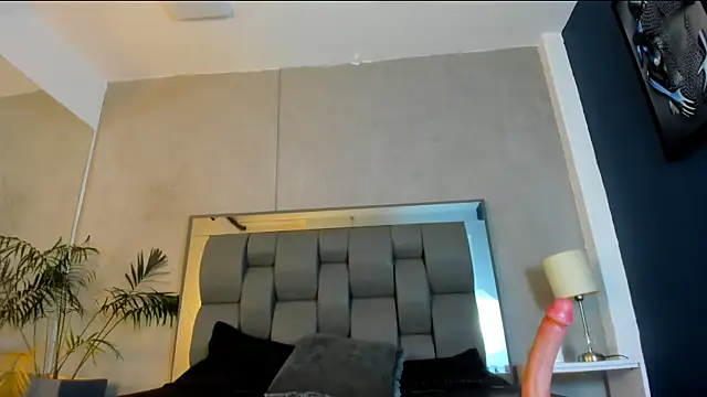 niko kael online show from February 27, 2026, 3:40 am