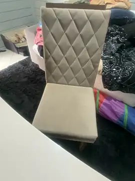 AnimistEquity online show from November 12, 2025, 3:38 pm