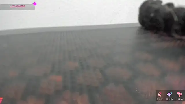 FluffyMelons online show from April 1, 2026, 11:01 pm