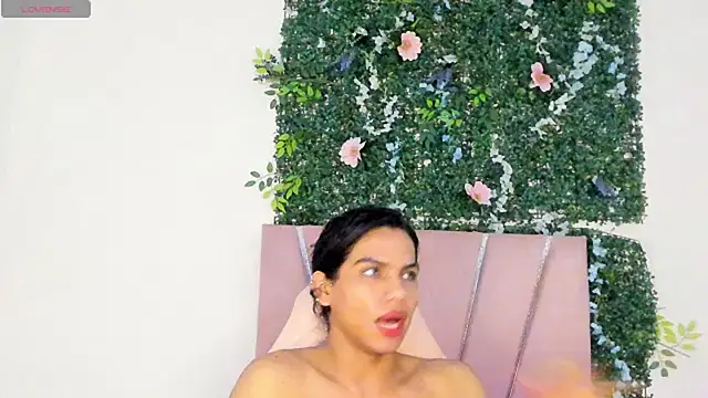 bxby dolls online show from November 24, 2025, 3:06 am