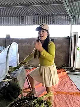 asian 2k online show from November 13, 2025, 8:40 am