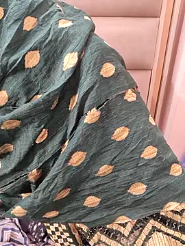 Indian-Aleena online show from February 17, 2026, 5:27 am